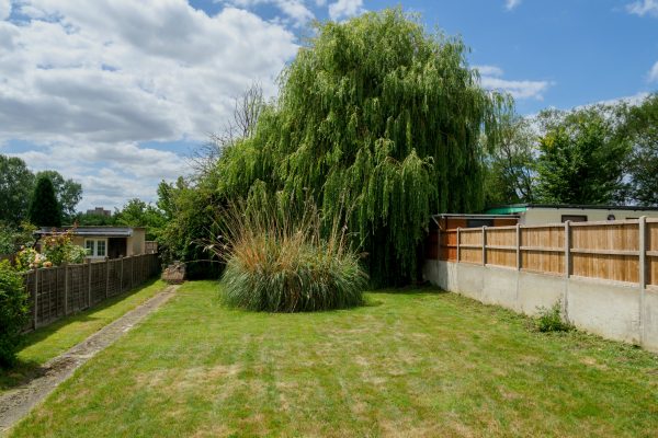 Big Yard