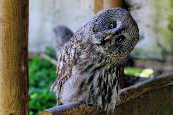 Higher Interest Rates